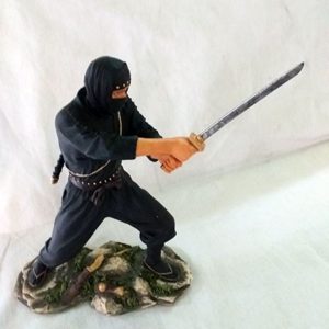 Guerrero Ninja 2
