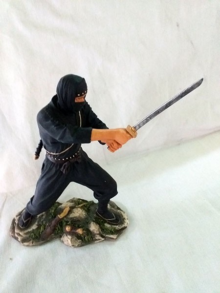 Guerrero Ninja 2
