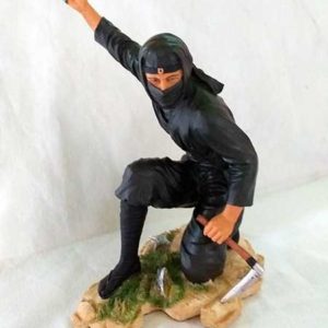 Guerrero Ninja 3
