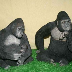 Familia de Gorilas